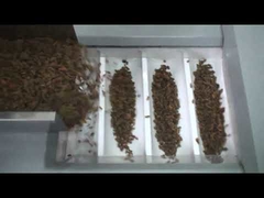 Factory price raisin packing machine, nuts packing machine,Dried Red Dates packing machine