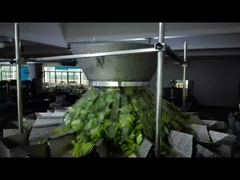 See Why Choose Pumpkin Seed Premade Bag Packing Machine Zipper Pouch Weighing And Packing Machine