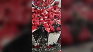 Automatic Bag-in-Bag Rotary Premade Pouch Packaging Machine
